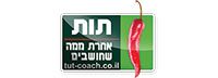 דומיין